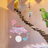 Chew Toy for Birds – Rattle Spinner Toy view 3