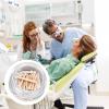 25/50-Piece Dental Wooden Wedges for Tooth Restoration view 3