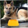 ibasenice Water Bowl for Cats and Dogs with Floating Disc view 4