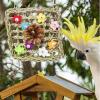 Budgie Toy - Natural Cockatiel Plaything view 2