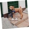 Elevated Pet Food Bowl with Stand, 1 Set, Stainless Steel, Black view 3