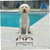 Elevated Pet Food Bowl with Stand, 1 Set, Stainless Steel, Black view 4