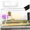 JOINPAYA Food and Water Bowl for Turtles, Reptiles, and Small Pets view 4