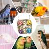 Acunny Parakeet Toy - Colorful Natural Plaything view 4