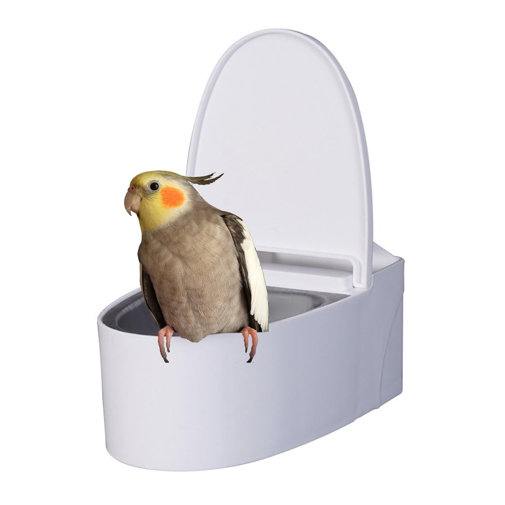 Bird Toilet for Pet Birds - Wall-Mounted Training Solution