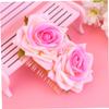DEARMAMY 2-Piece Fabric Rose Hair Combs view 4