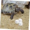 BESTonZON 6 Natural Stone Mineral Blocks for Reptiles and Hermit Crabs view 4