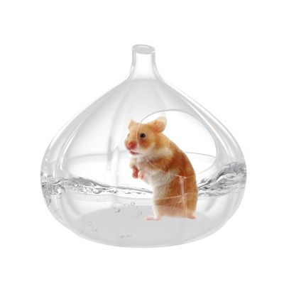 Hamster Bath | Transparent Garlic-Shaped Sand Bath