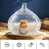 Hamster Bath | Transparent Garlic-Shaped Sand Bath view 2