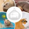 Hamster Bath | Transparent Garlic-Shaped Sand Bath view 4