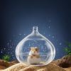 Hamster Toilet | Transparent Garlic-Shaped Bath House view 3