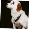 Gold Stainless Steel Bone-Shaped Dog Tags, Engravable, 5-Pack view 4