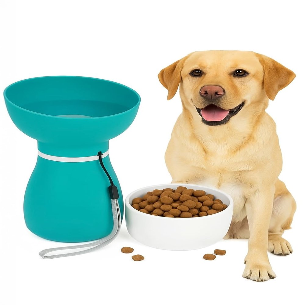 3-in-1 Dog Water Bottle & Bowl