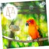 FUTUREORYY Decorative Hanging Bird Swing Perch with Chew Toy for Parrots and Budgies view 4