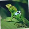 HEMOTON Reptile Harness and Leash for Small Pets view 3