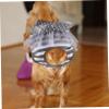 JOINPAYA Decorative Doggy Diaper view 3