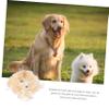 Yardwe Curly Pet Wig, Gold Nylon Fiber, for Cats and Dogs view 3