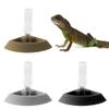 Automatic Feeder for Turtles view 2