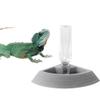 Automatic Feeder for Turtles view 3