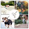Adjustable Dog Leash view 2