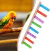 Budgie Ladder view 3