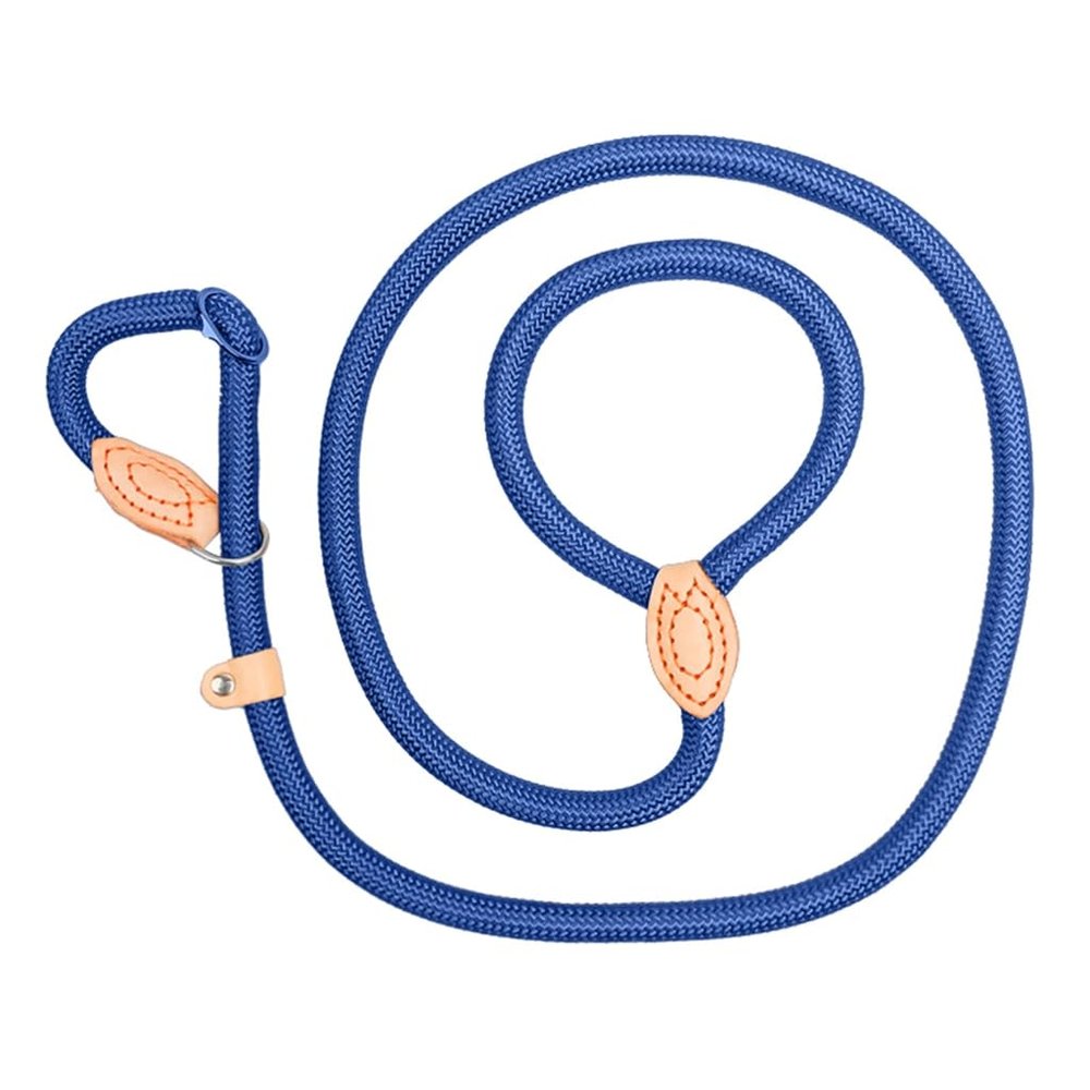 Reflective Dog Leash for Training and Walks
