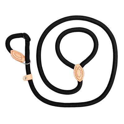 Reflective Dog Leash for Training and Walks