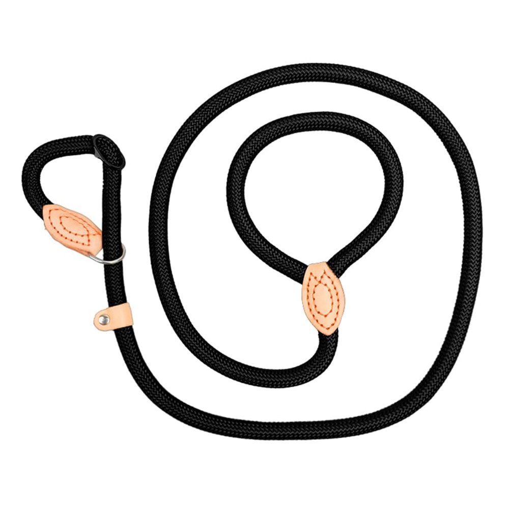Reflective Dog Leash for Training and Walks