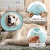 CAPASTEC Cat Recovery Collar, Adjustable Elizabethan Collar for Cats and Dogs, M, Blue view 4