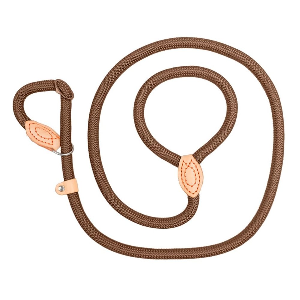 Reflective Dog Leash for Training and Walks, for Large and Small Dogs, Durable Rope