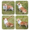 Reflective Dog Leash for Training and Walks, for Large and Small Dogs, Durable Rope view 2