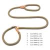 Reflective Dog Leash for Training and Walks, for Large and Small Dogs, Durable Rope view 3