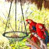 Decorative Heavy-Duty Metal Hanging Garden Bird Bath view 4
