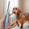 Dog Nail Grinder, Dog Grooming Tool for Nail Filing view 3