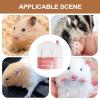 Large Transparent Hamster Sand Bath and Toilet view 4