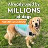 ThunderShirt Breeze for Dogs, Large, Aqua, Extra-Breathable Mesh Anxiety Relief Vest view 2