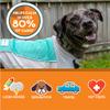 ThunderShirt Breeze for Dogs, Large, Aqua, Extra-Breathable Mesh Anxiety Relief Vest view 4