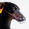 LLHCF Cat Muzzle for Dogs, Antibacterial, Transparent, PVC view 4
