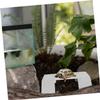 ifundom Weier Turtle Basking Platform with Suction Cups and Climbing Ramp view 4