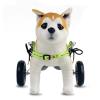 Adjustable Dog Wheelchair for Small, Medium, and Large Dogs view 1