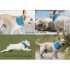 Breathable Soft Scarf for Small to Medium Dogs and Cats view 4