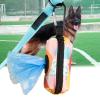 HUANGING Dog Waste Bag Holder view 2