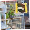 INOOMP Parrot Nest Birdhouse view 4