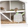 JOINPAYA Hamster Sand Bath and Toilet for Small Pets view 4