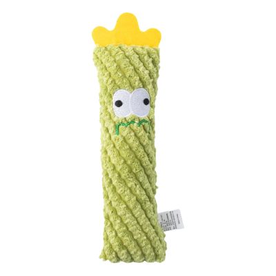 Catnip Cactus Toy