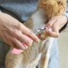 Cat Nail Clippers – Puppy Nail Care Set with File view 3