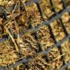 Round Bale Hay Net, 5 x 5 ft, 4.5 x 4.5 cm Mesh, Black view 4