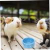 PENIKOKO Non-Slip Ceramic Feeding Bowls 2 Pack for Hamsters and Squirrels view 4