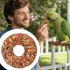Bird Treats | Budgie Toy | Grain Ring Donut Shape Feeding Enrichment for Cage Birds view 3