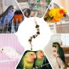 Conure Chew Toys for Cockatiels view 4